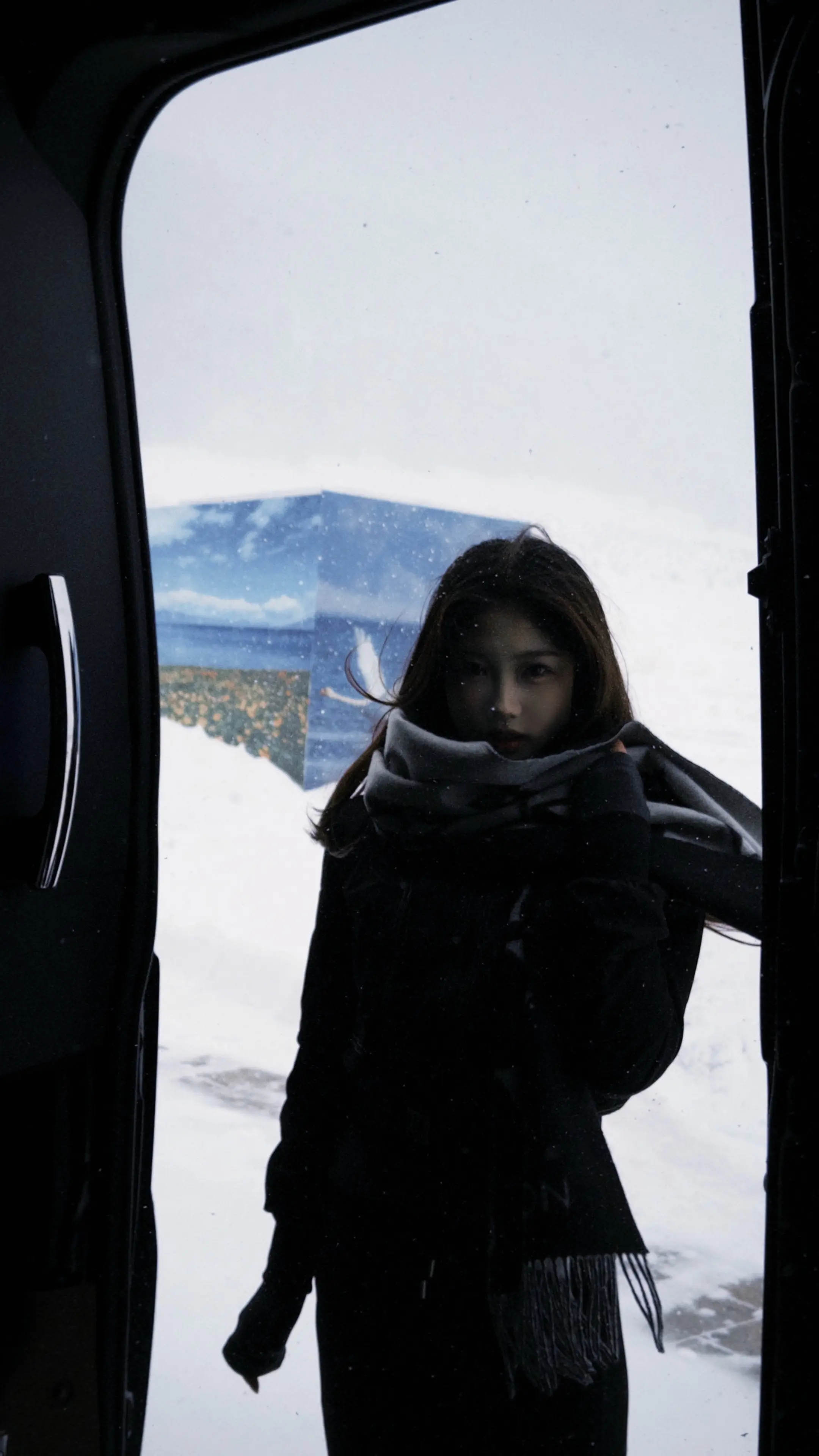 在这个冬天 做了一场白色的梦