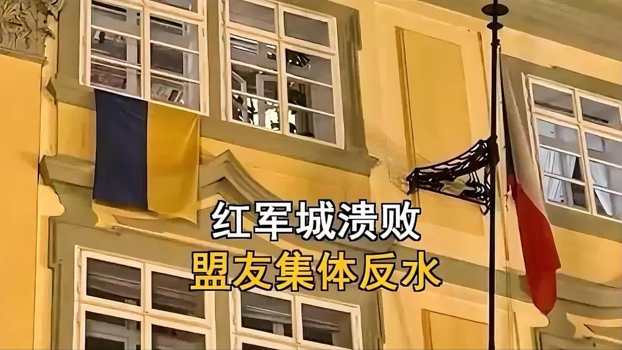 红军城溃败！乌军兵败如山倒，泽连斯基盟友集体反水