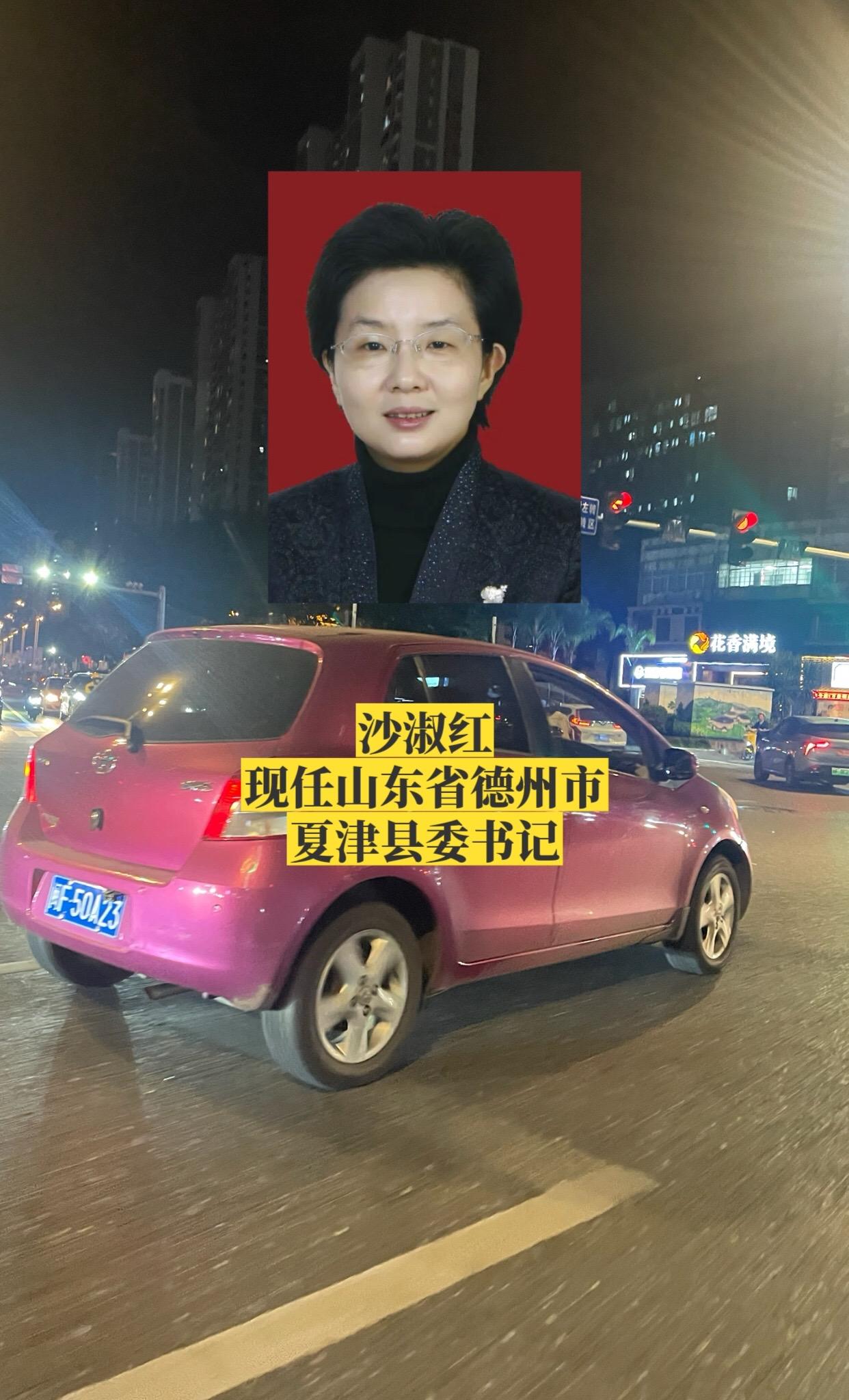 山东德州市各区县书记。