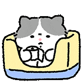 萌萌的灰白小猫咪表情包 