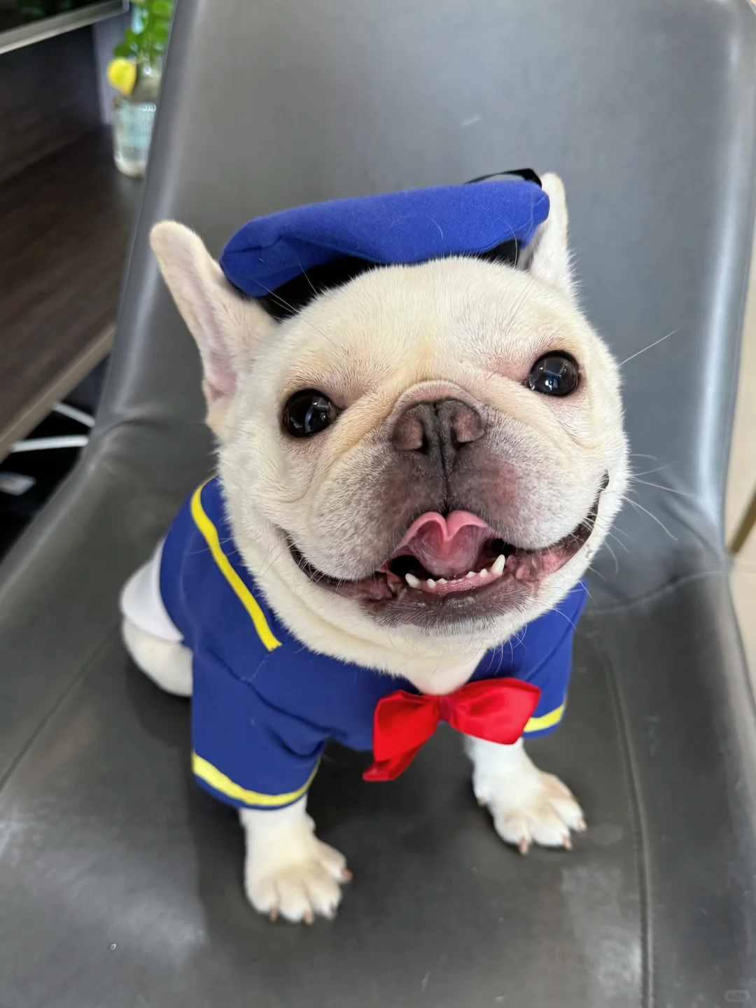 看看唐老兜船长给大家带回了什么宝藏