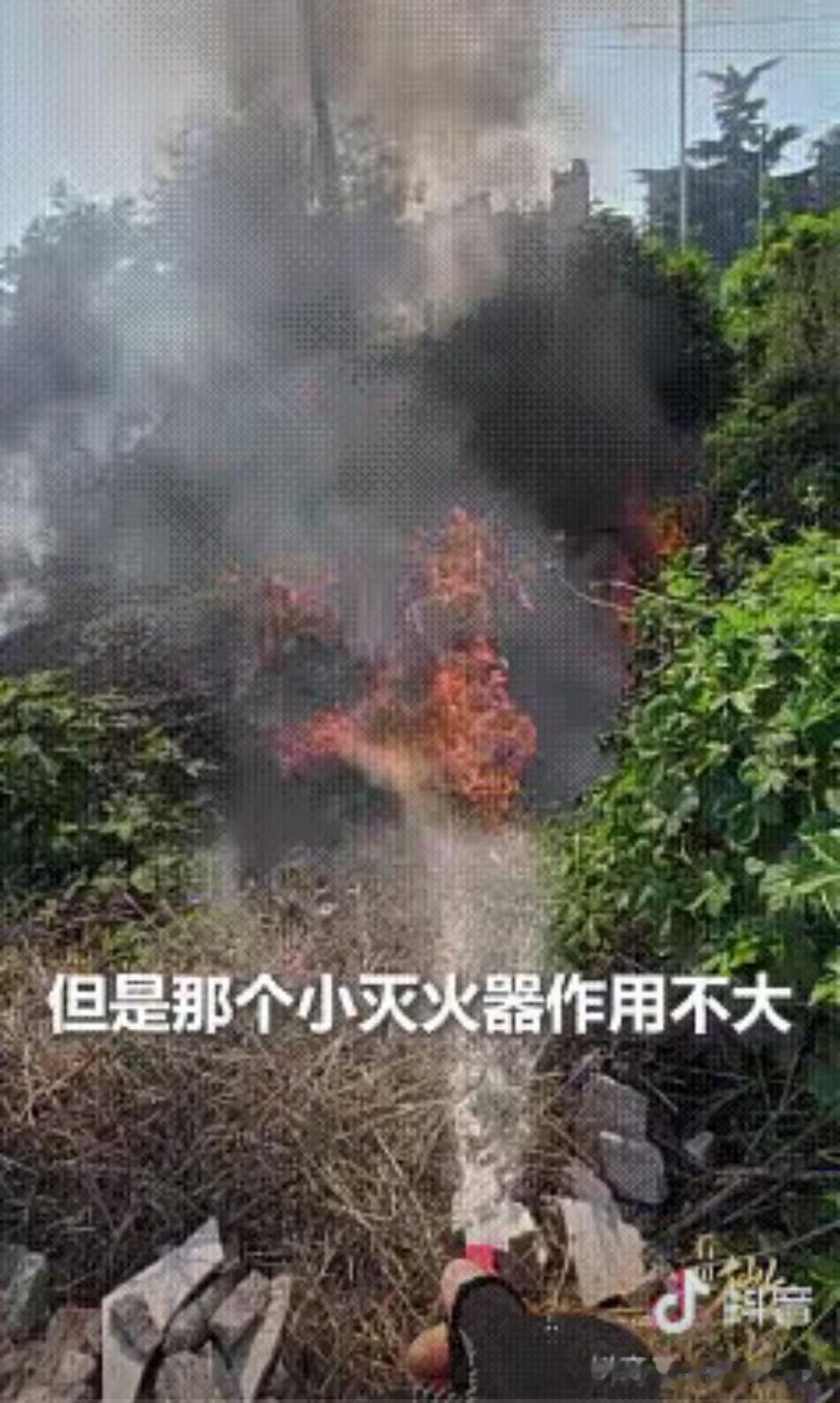 19岁外卖小哥凭一己之力阻拦农田火情，事迹直接登上人民日报，看完真的特别触动。陕