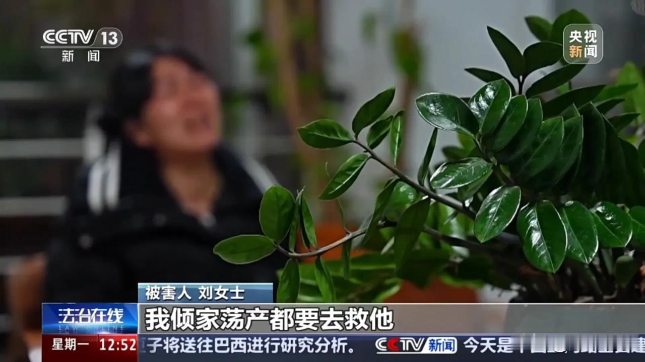 缅北悲剧背后：母爱的破碎与反诈警钟
 
去年，福建刘女士一家陷入深渊。她 20 