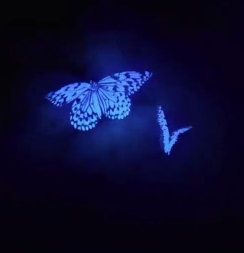 秒赞 你会收到一个你期待很久的好消息～ ​​​