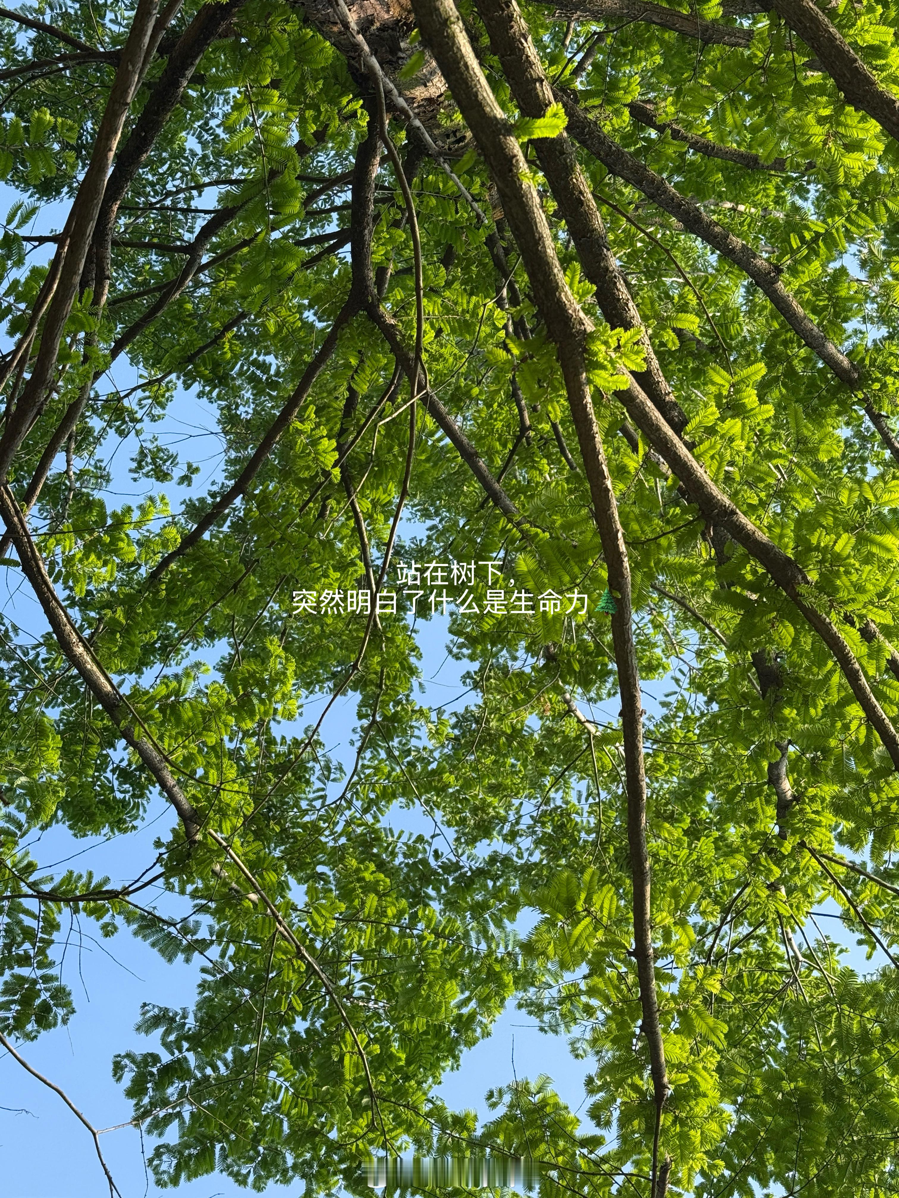 一定要爱着点什么，恰似草木对光阴的钟情。 每日穿搭OOTD