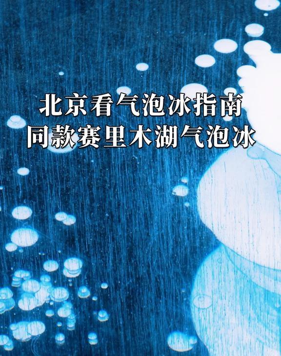 北京看气泡冰指南｜赛里木湖气泡冰
📍【五大宝藏观赏地】
	
1️⃣ 野鸭湖湿地