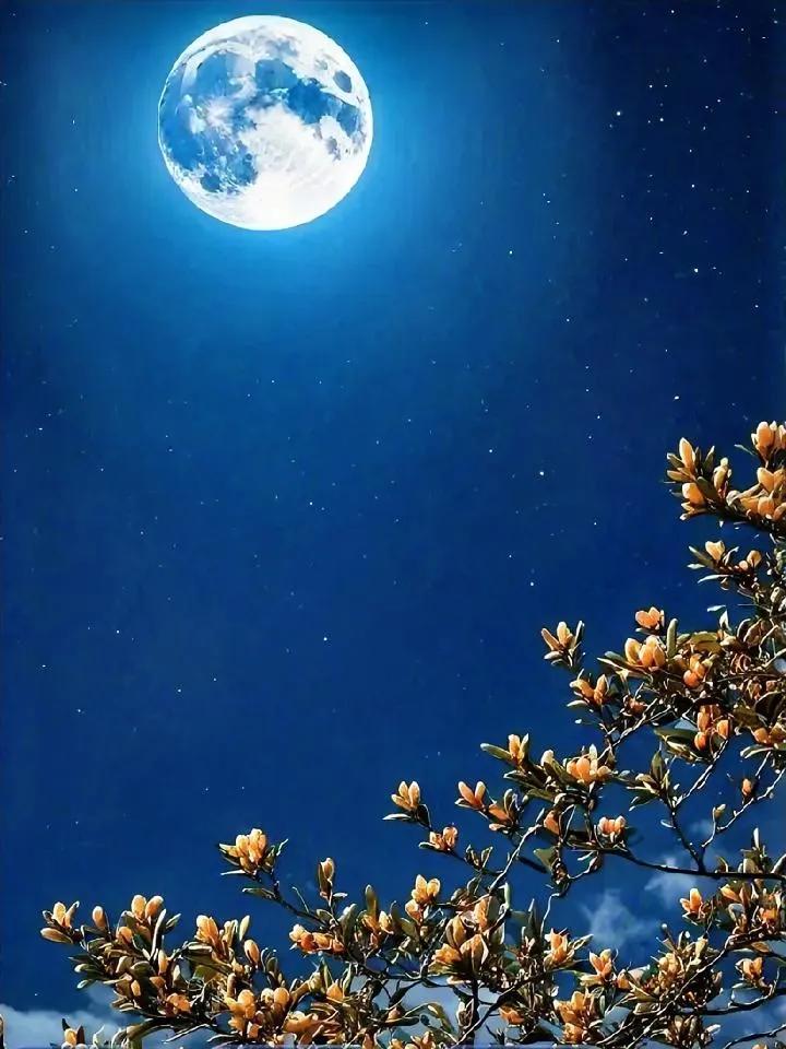 大家说一说，这些年来什么东西没有涨过价啊？
我想了又想，感觉只有十五的月亮没有涨