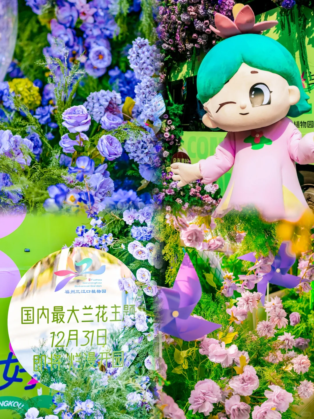 福州人的莫奈花园！美晕了！