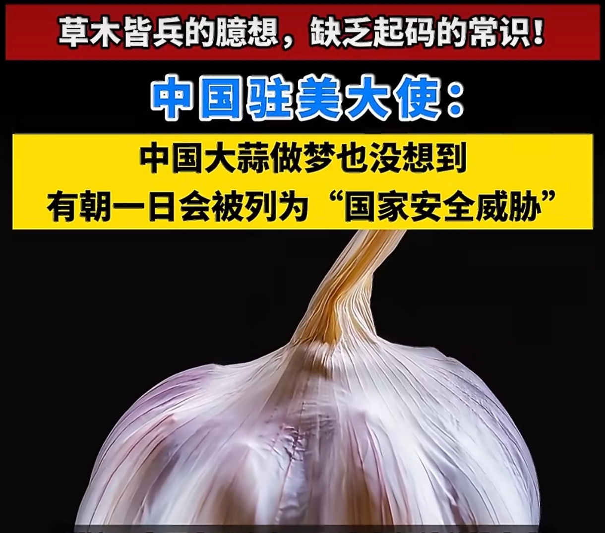 美国为何害怕中国大蒜美国为何忌惮中国大蒜？答案从来不在食品安全，而在利益与博弈。