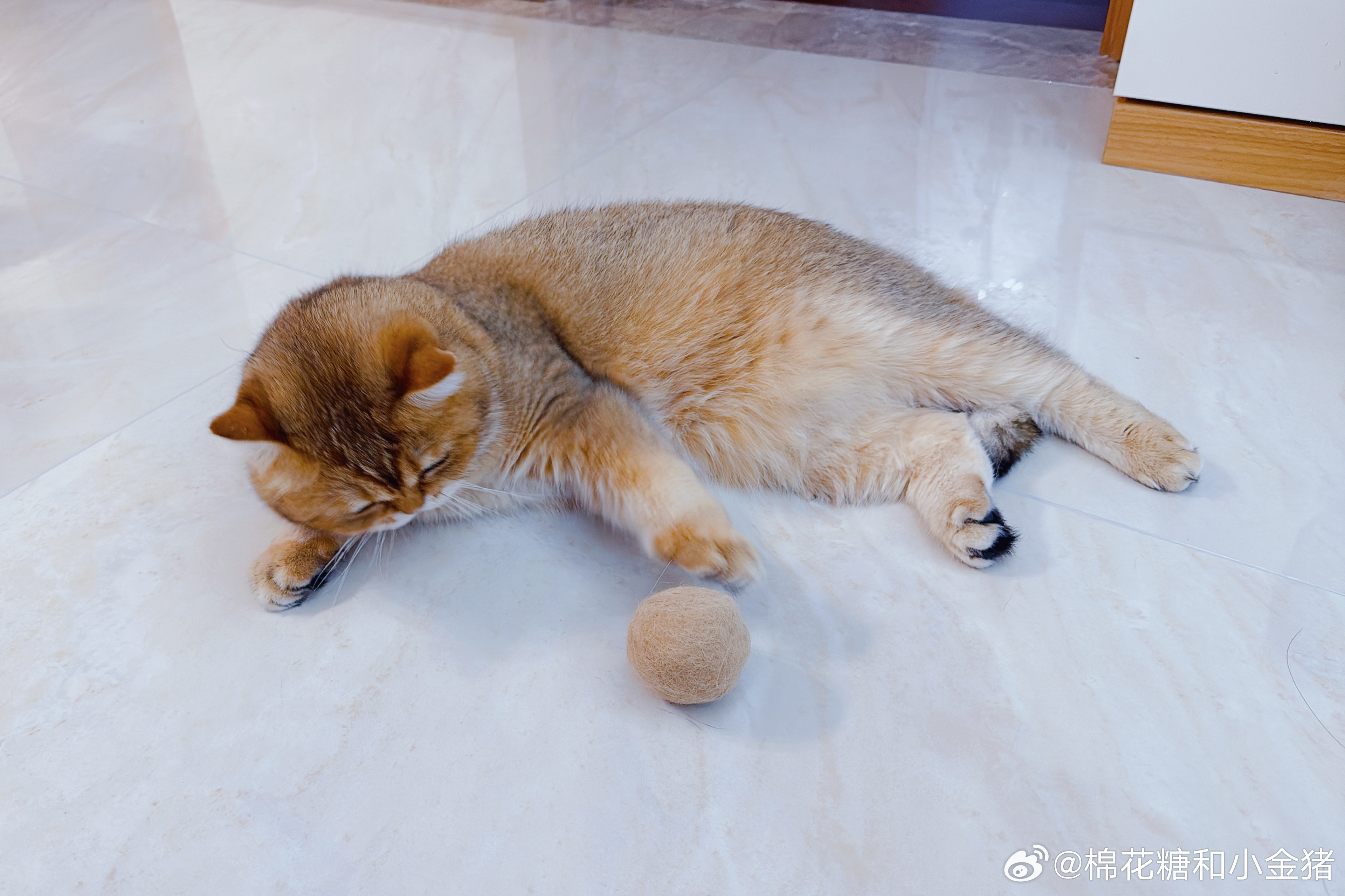 澜澜球越搓越大～ 