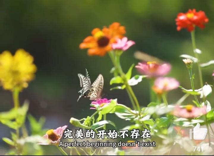 想到了就要去行动，哪怕失败，至少你得先让自己有机会！没有人会无缘无故帮你，能真心