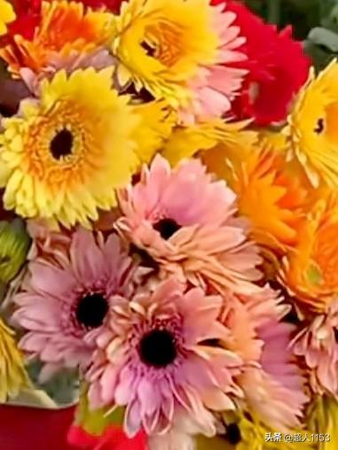 春光的无限好，
快乐人不会老。

看看河边垂柳，
踩踩乡边的草。

赏赏园中花儿