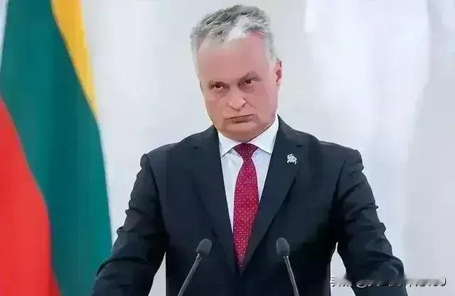 立陶宛总统瑙塞达多少有点不自量力啦。据报道，立陶宛总统外交政策首席顾问阿斯塔·斯