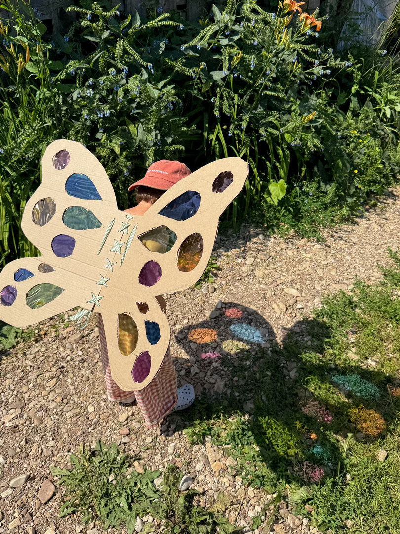 🦋 