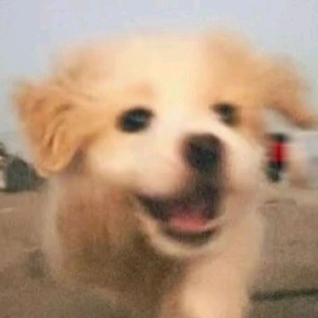 张泽禹换小狗头像 张泽禹换了新头像了！这不就是妥妥的自己吗，本人认领狗塑，软萌小