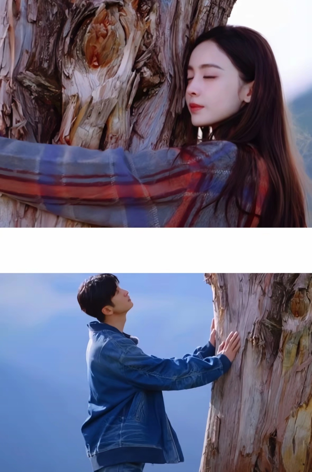 有没有人懂娜扎和张云龙？ ​​​