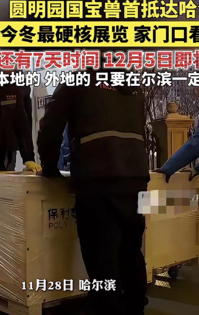 重磅消息，圆明园的国宝兽首抵达哈尔滨，据说12月5日即将开幕，展览时间至明年的3