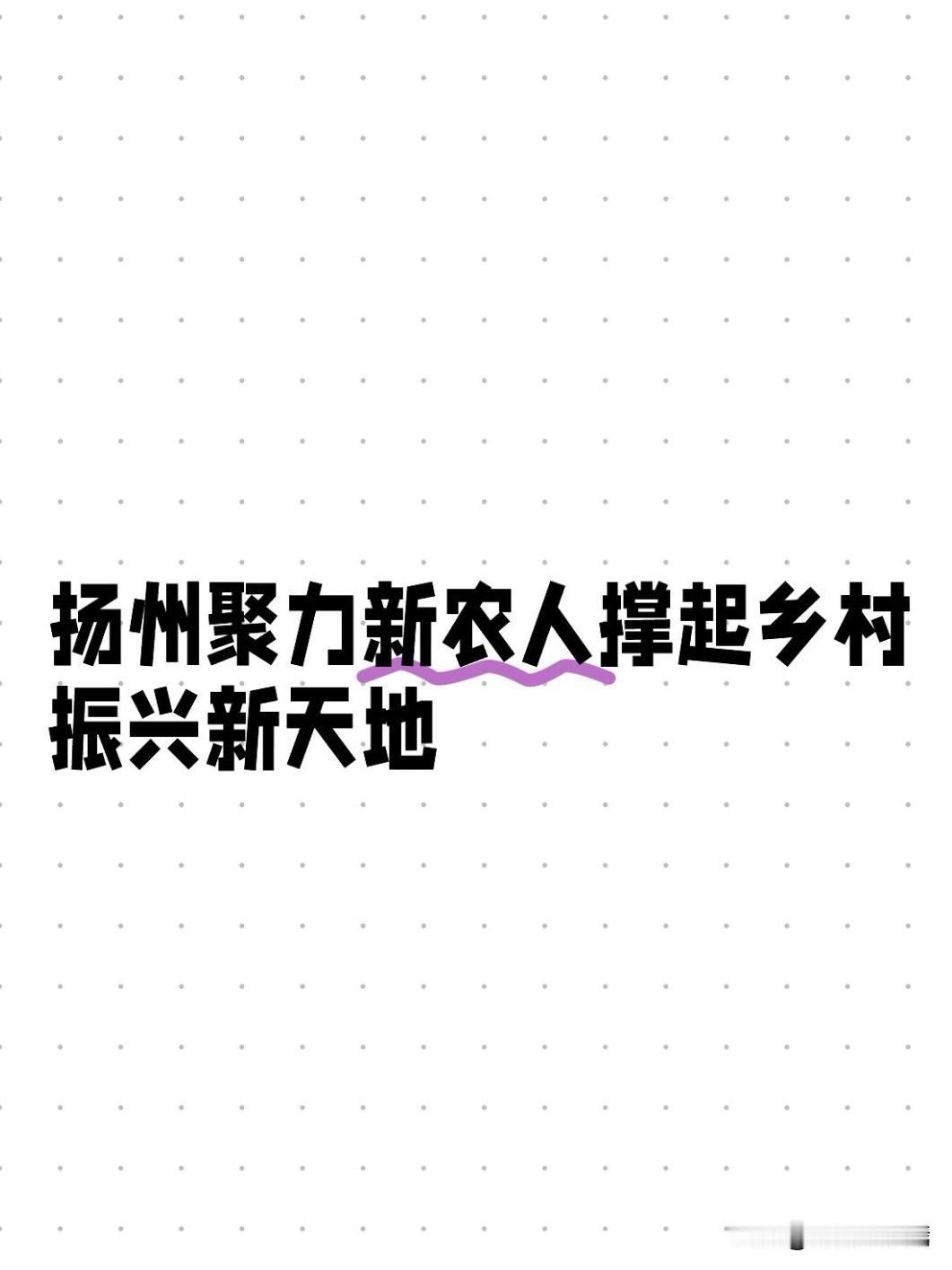 2026年5月20日上午，扬州市委书记王进健主持召开全市“新农人”座谈会。祁贵仁
