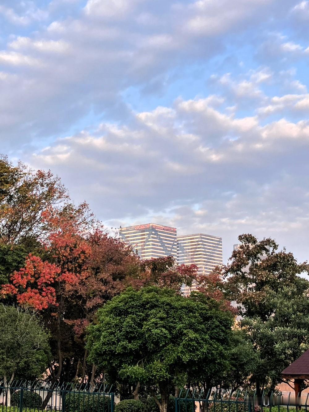 分享一张自然风景的照片