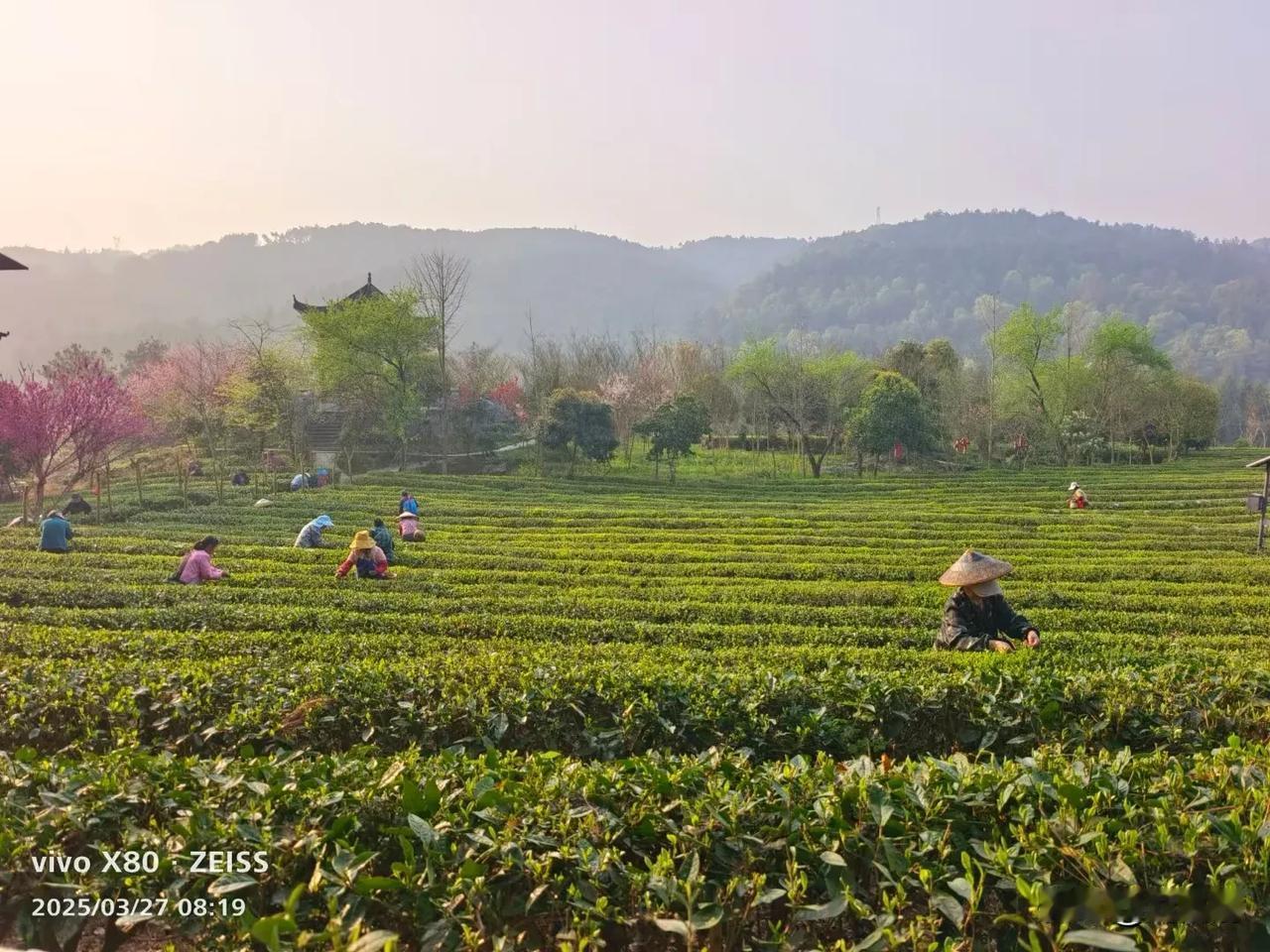 领导科学实践路径的范式重构
（2025年4月9日）
领导科学作为现代管理学的核心