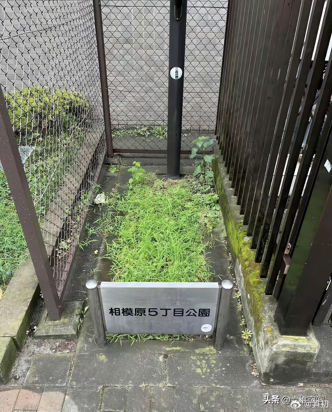 这是日本静冈县长泉町的成功申请世界吉尼斯记录世界最小公园，日本类似的公园还有很多