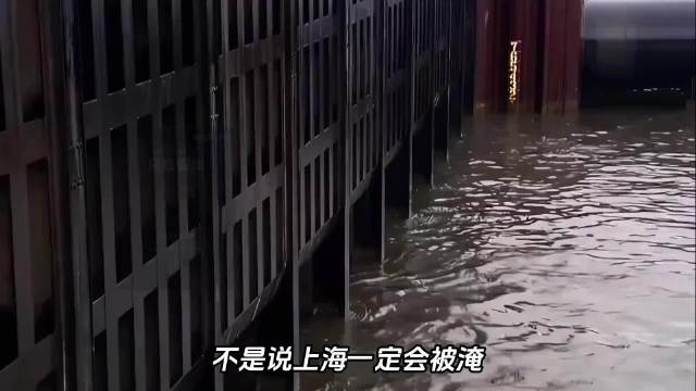 #上海转移避险群众超6万人# 为了扛住这轮风雨夹击，上海早已提前硬核出手！全市河湖放水腾出4.4亿立