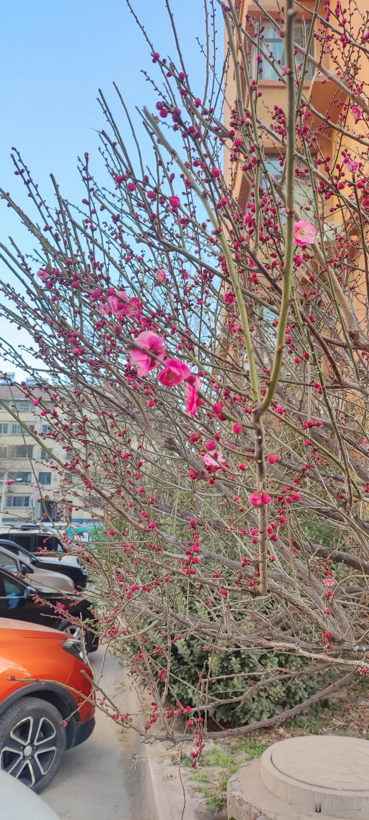 一帆风顺，二龙戏珠，三阳开泰，四季平安，六六大顺，七星高照，八方来财，九九同心，