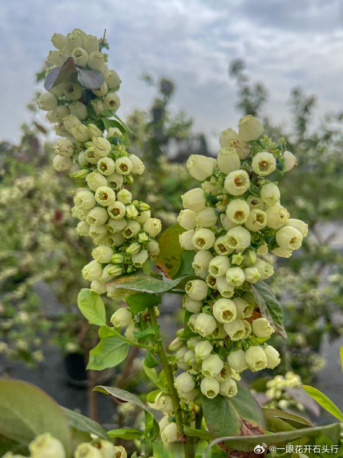 不走出韭菜地，不走出韭菜思维，掉下来受伤的永远是小散。 还是那句话：位置第一，预