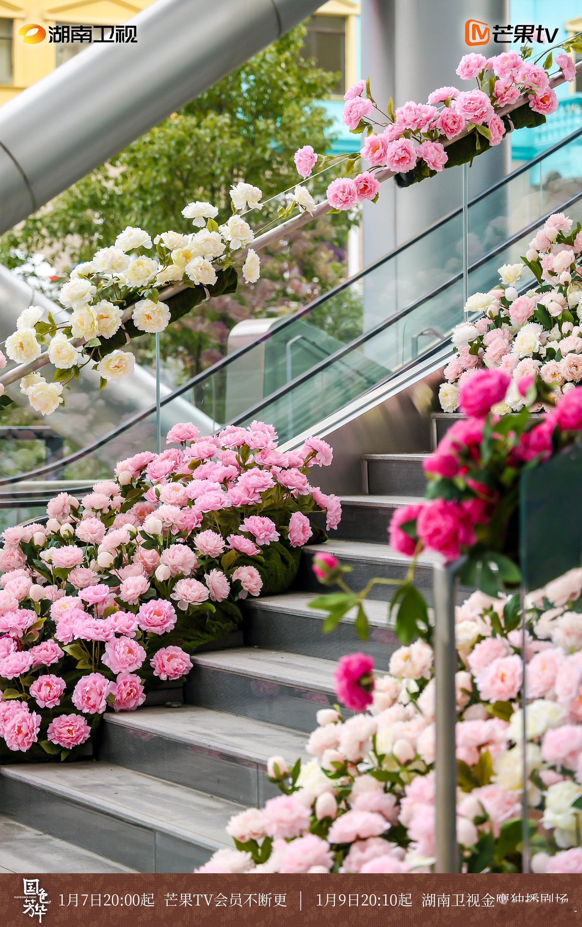 芒果剧宣 好用心的宣传，巨型牡丹花带来了一丝浪漫的气息，杨紫李现合体走真花路的含