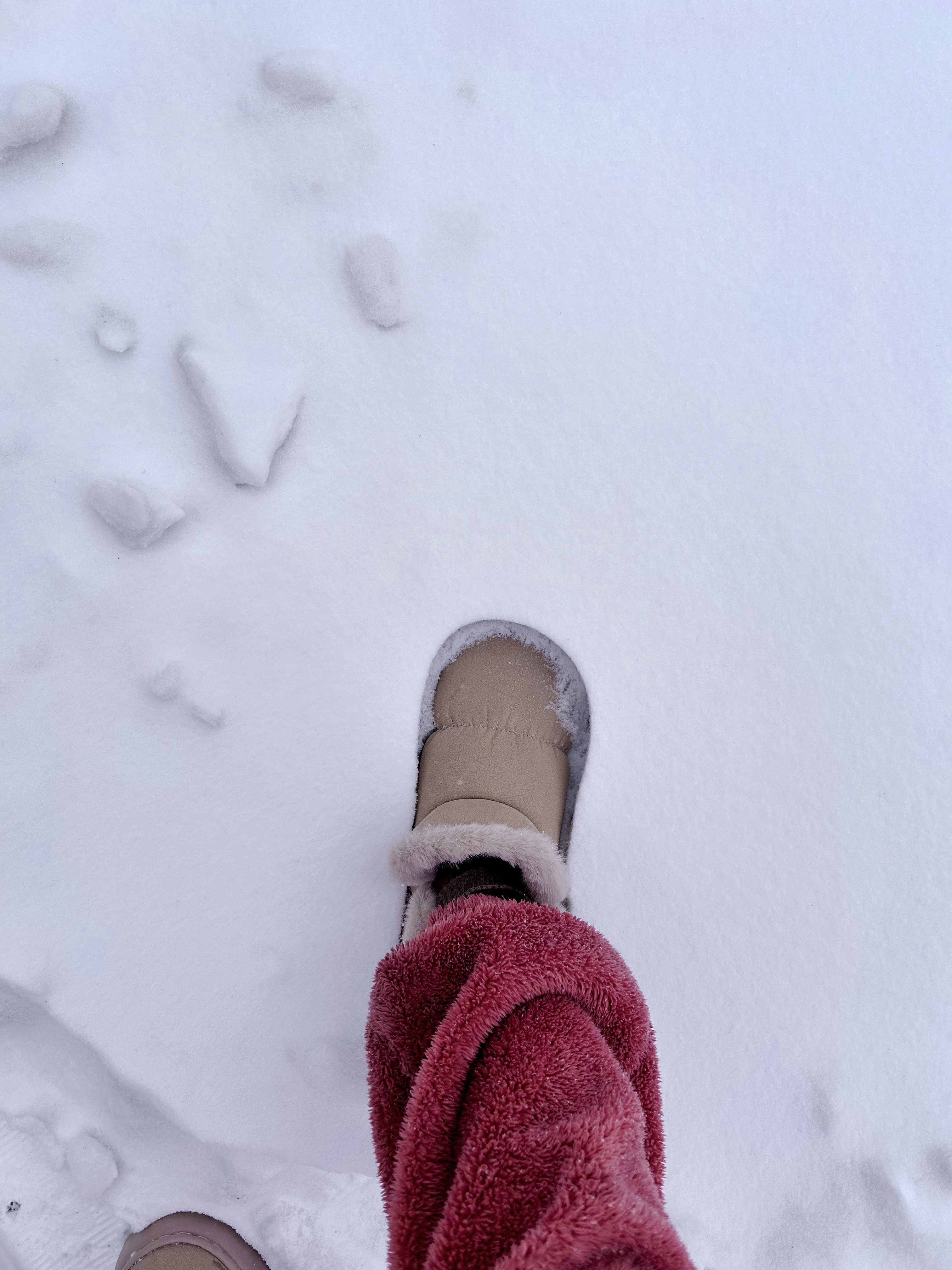 瑞雪兆丰年 