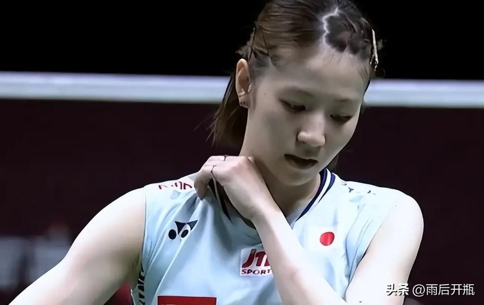 张本智和祖籍中国，后入日本国籍效力于日本男乒，是中国和日本都讨厌的运动员；
而志