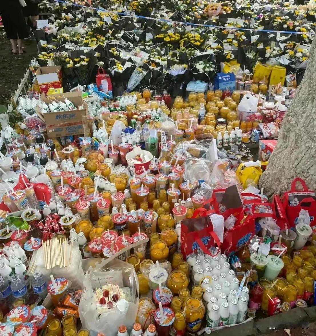 想不通，这么多人去祭奠胖猫，他做了什么对社会有益的事情吗？查了一下，原来是他花两