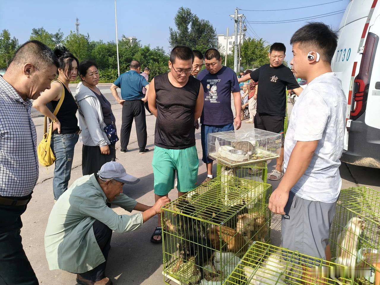 山东潍坊高密狗市大集，胶东地区规模颇大的狗市，逢五排十，位于高密市区东部人民大街