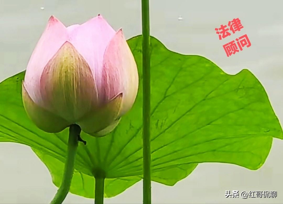 看了新商标法主要修改内容，我觉得此次修改，的确抓住了过去商标保护方面的“惯疾”、