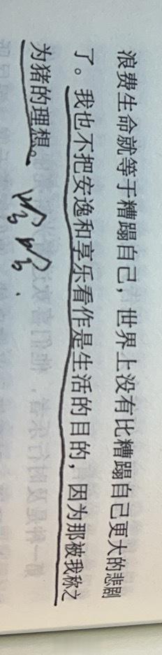 12.6忌猪 ​​​