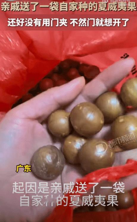 广东，亲戚送来一大袋夏威夷果。没想到，因果子没开口，一家人想各种办法都打不开。