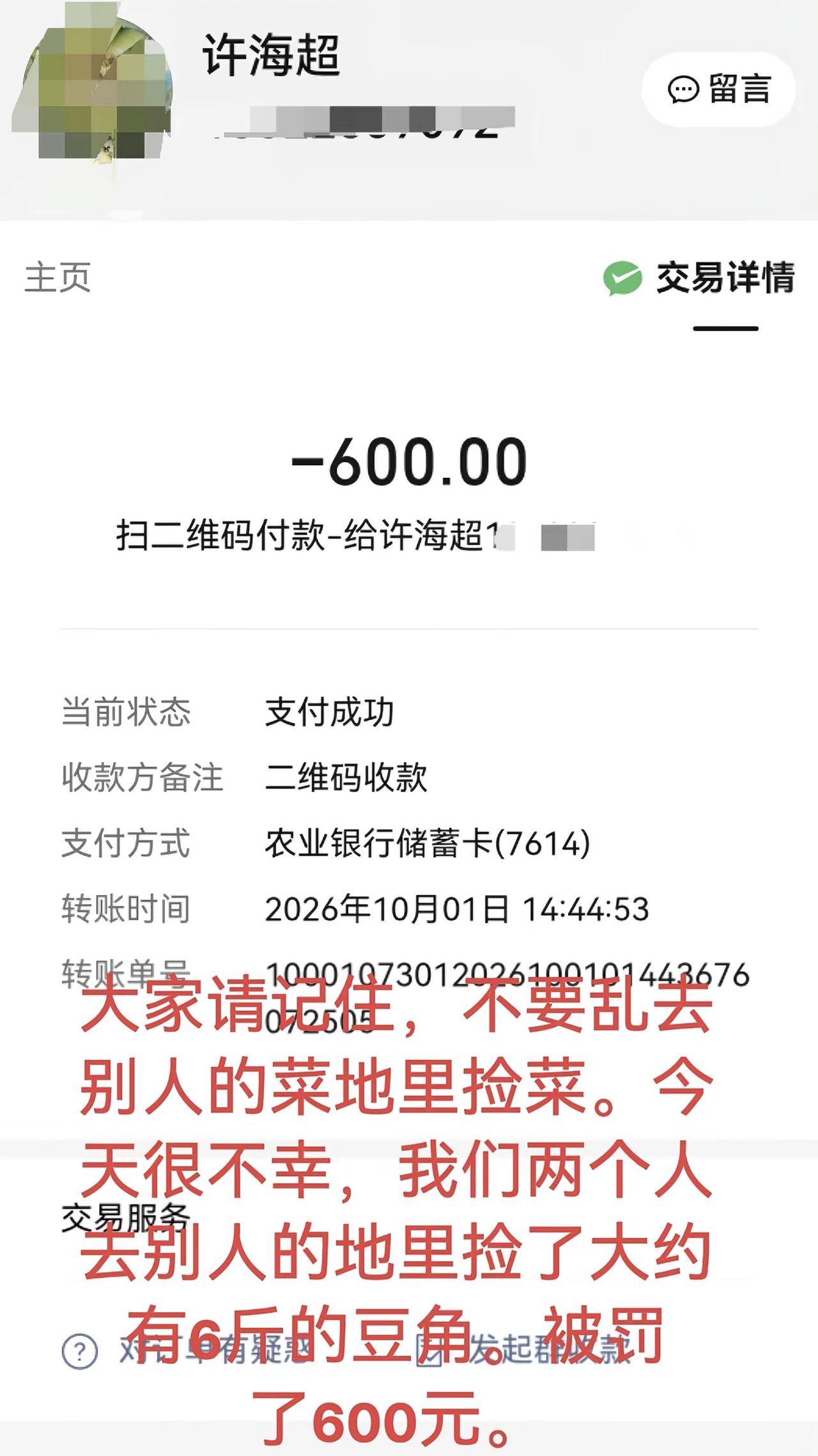 网友称自己跑去地里捡别人6斤豆角，结果被对方罚了600元，还说对方是在讹人，是在