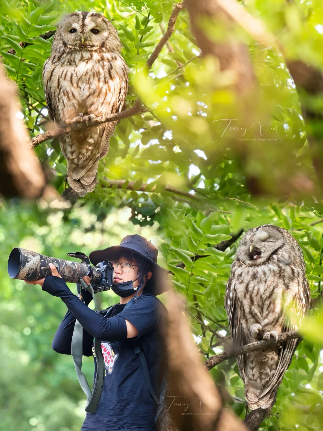 来见一位刚睡醒的老朋友😴🦉