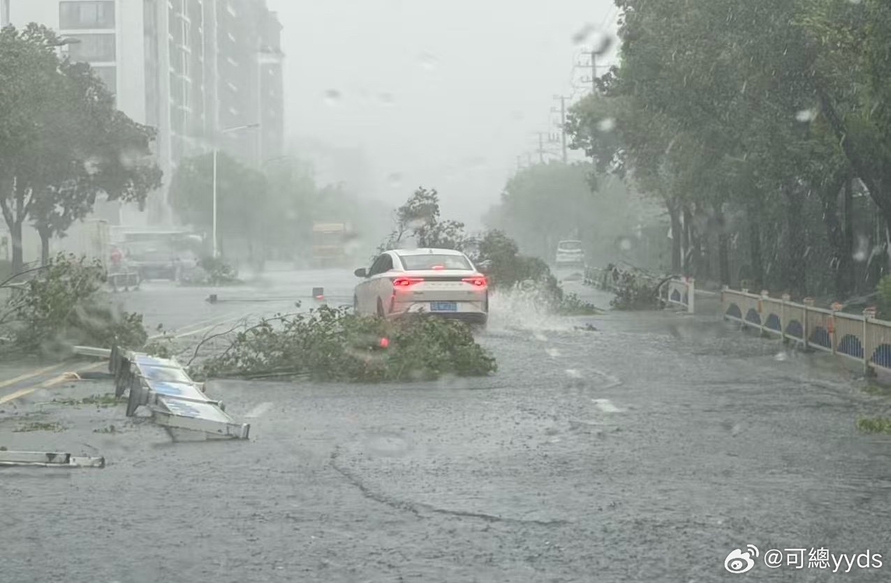 风还好，雨真大而且连着不停下大暴雨！下水道成了趵突泉！白海豚 上班