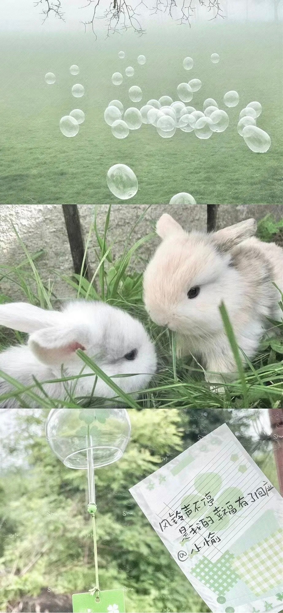 𝙬𝙖𝙡𝙡𝙥𝙖𝙥𝙚𝙧丨你的眼睛溺了雾 像不可及的黎明 