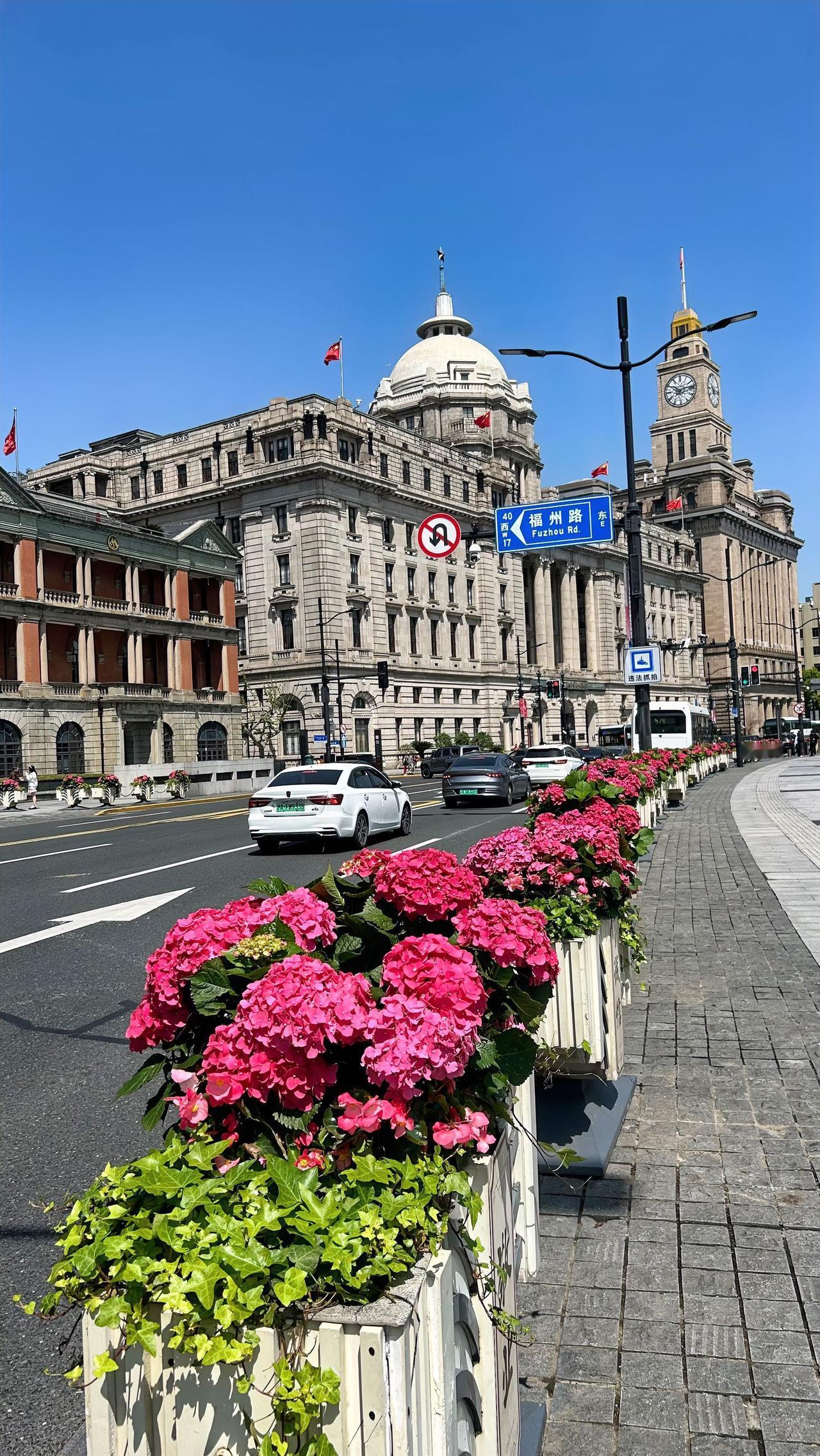 有没有好看的风景图片分享上海外滩的万国建筑群的人行道上，花团锦簇，春明景和，岁月