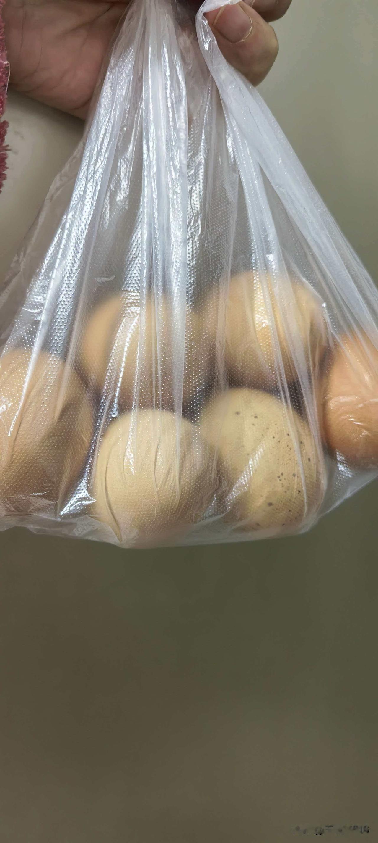 老太太参加领鸡蛋推介会第三天。半个小时，会议如期结束，顺利领到鸡蛋，在工作人员的