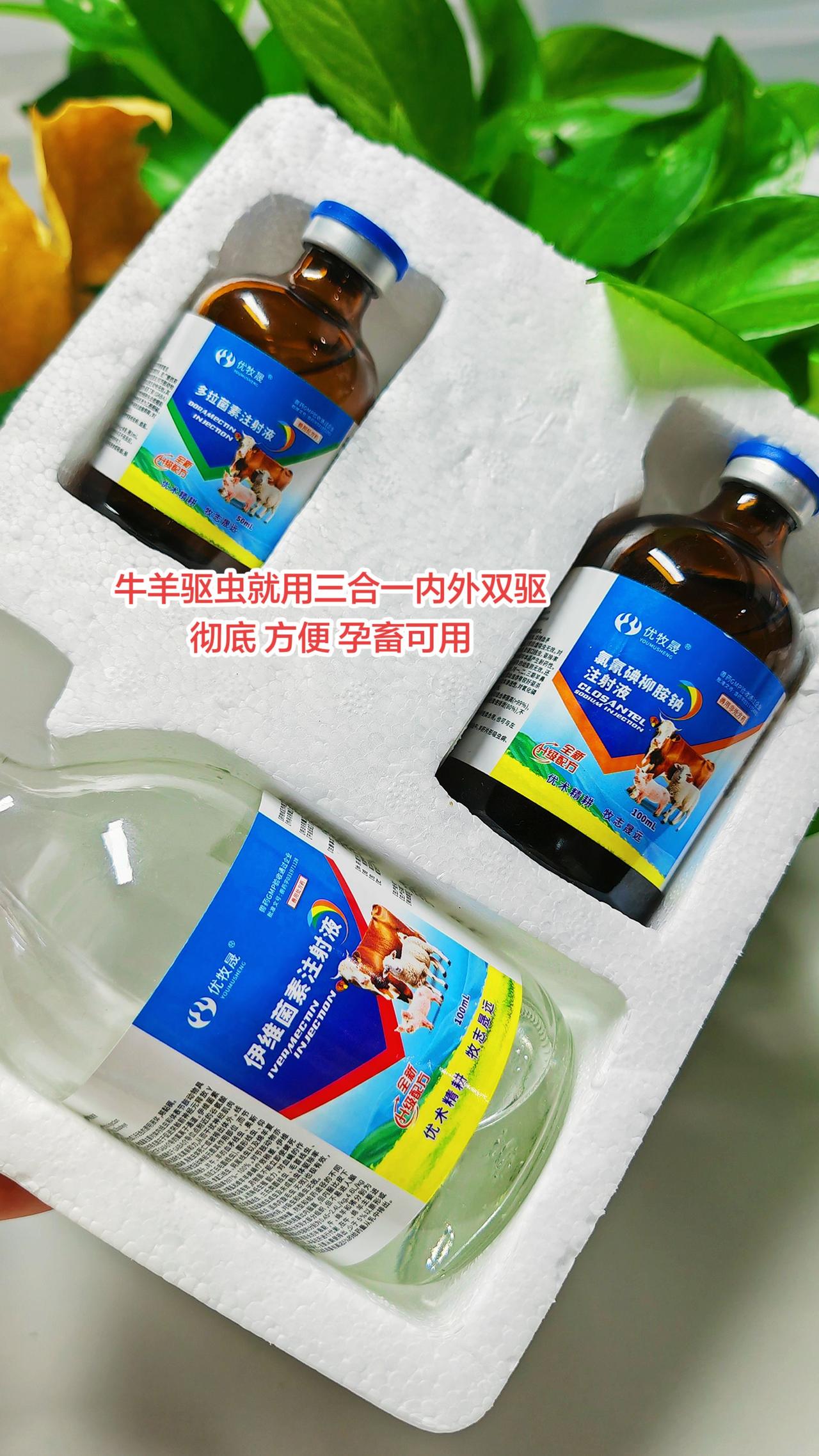 养羊养牛人 农村养殖 牛羊驱虫