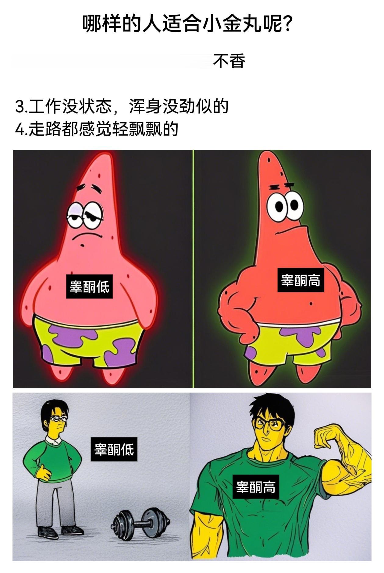 哪样的适合小金丸？