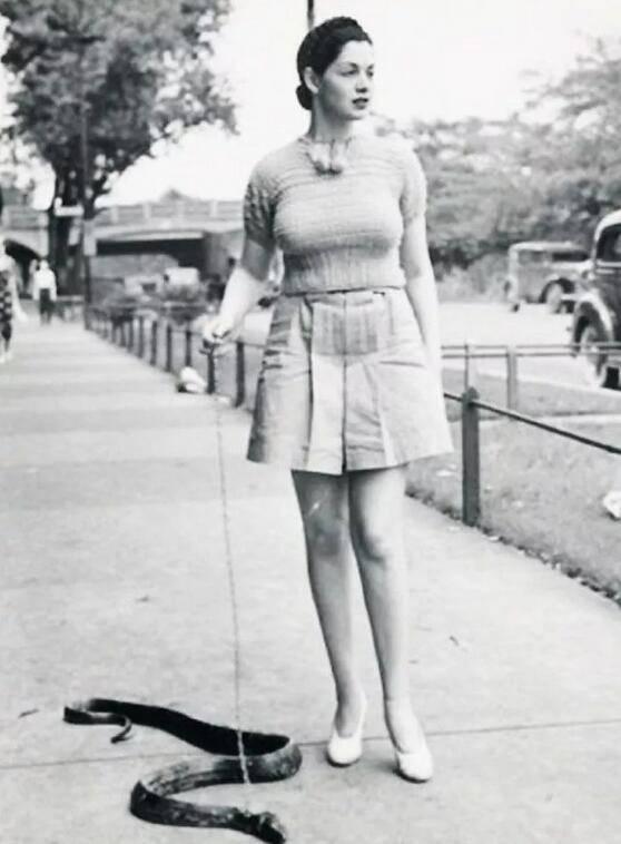 国外一名女子当街遛宠物，现实版的“美女与蛇”。
随着生活条件的改善，越来越的人感