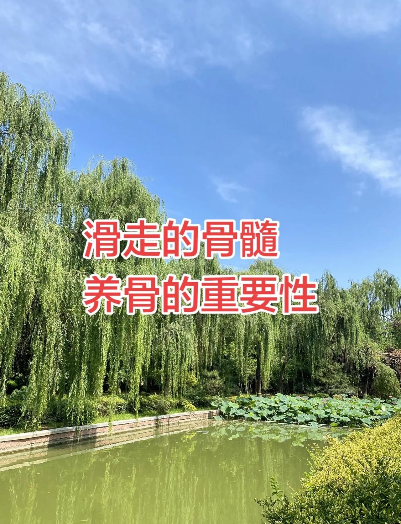 中国德比即将打响！丁俊晖10-5战胜吉尔伯特晋级世锦赛16强，下轮挑战卫冕冠军赵