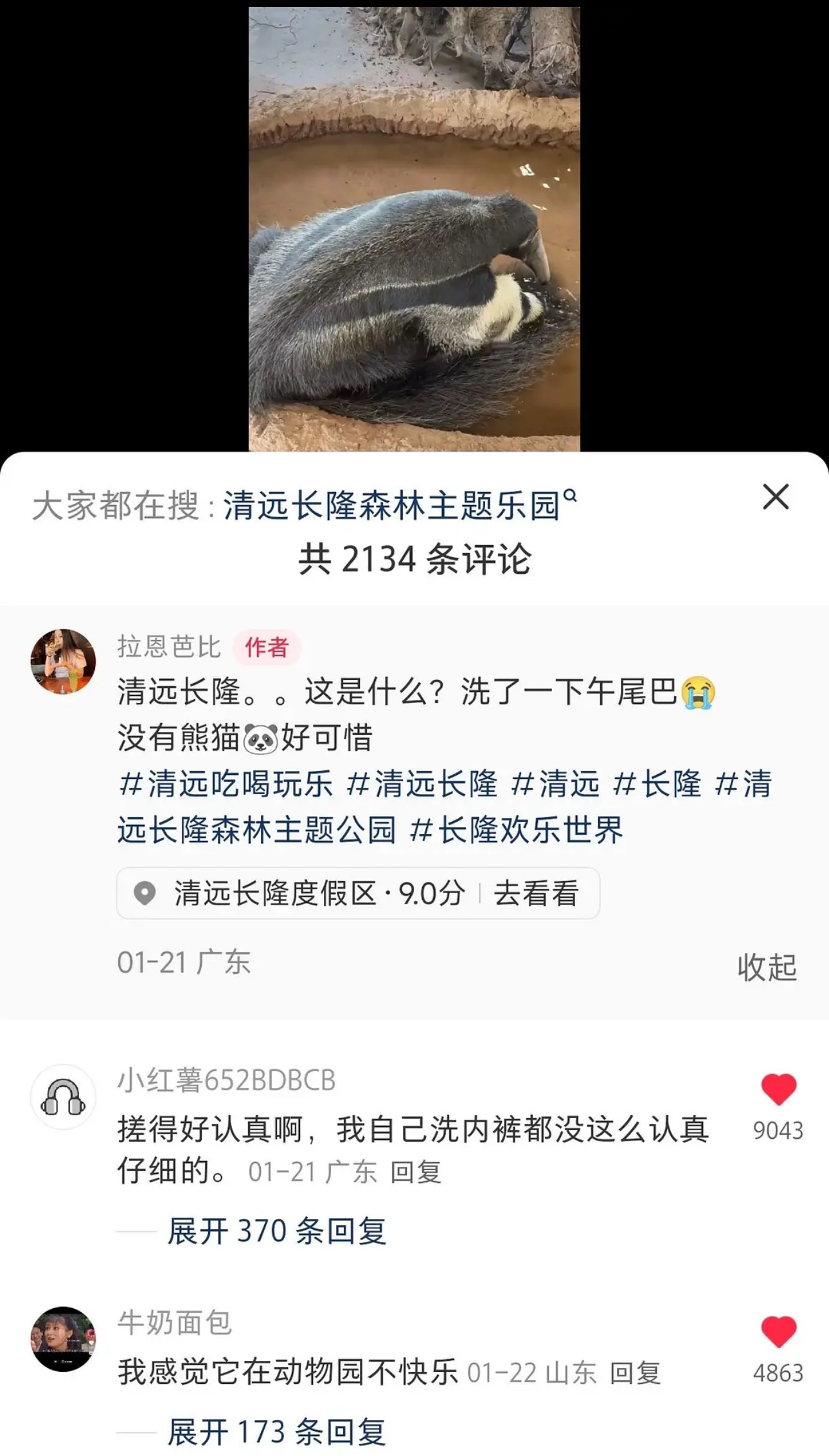 什么动物那么爱干净啊洗一下午尾巴哈哈哈哈哈哈哈 