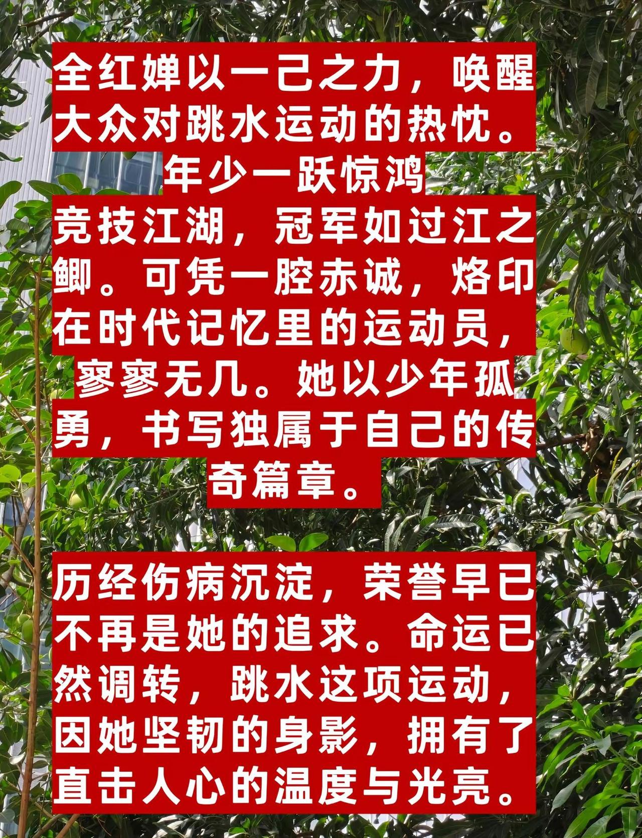 以一己之力，唤醒大众对跳水运动的热忱，年少一跃惊鸿。竞技江湖，冠军如过江之鲫。可
