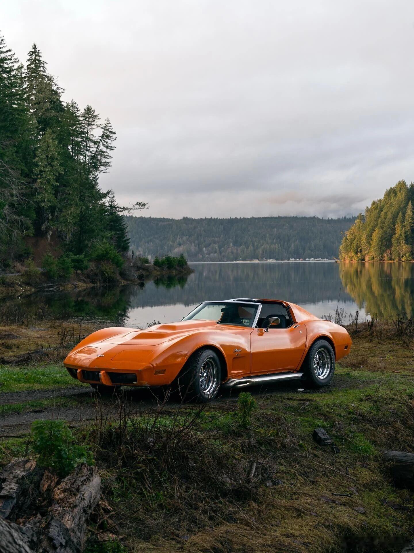 科尔维特C3 Stingray 454，美式肌肉车黄金时代的代表。鲨鱼仿生设计搭