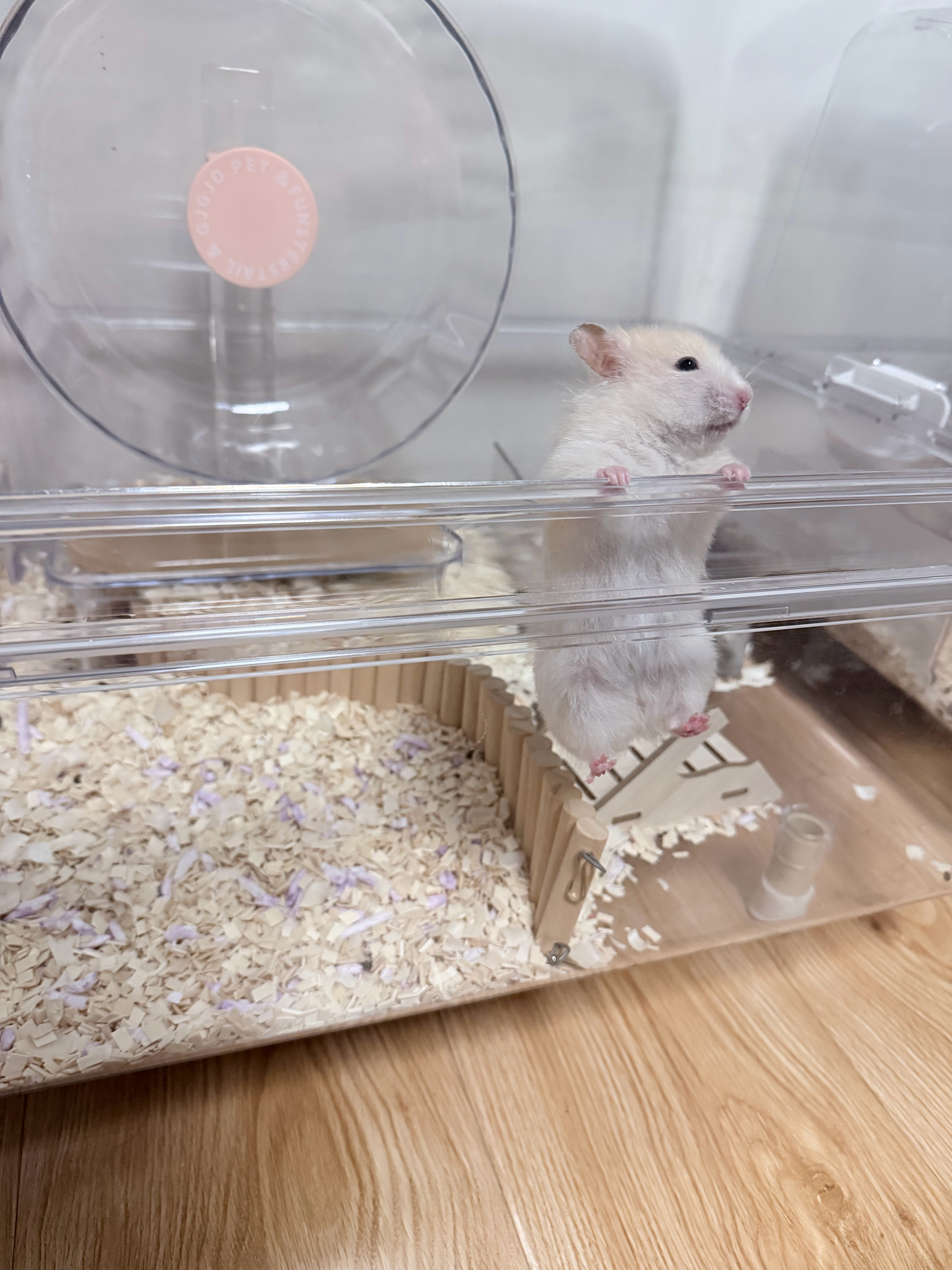 锻炼中